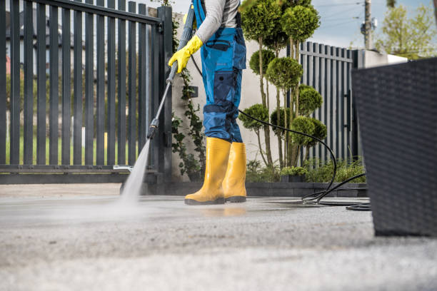 Best Fence Cleaning  in Moss Point, MS