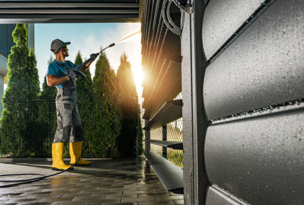 Best Driveway Pressure Washing  in Moss Point, MS
